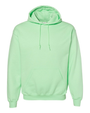 Gildan Heavy Blend Hoodies