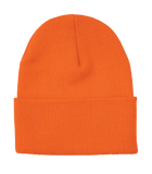 ATC Everyday Knit Cuff Toque
